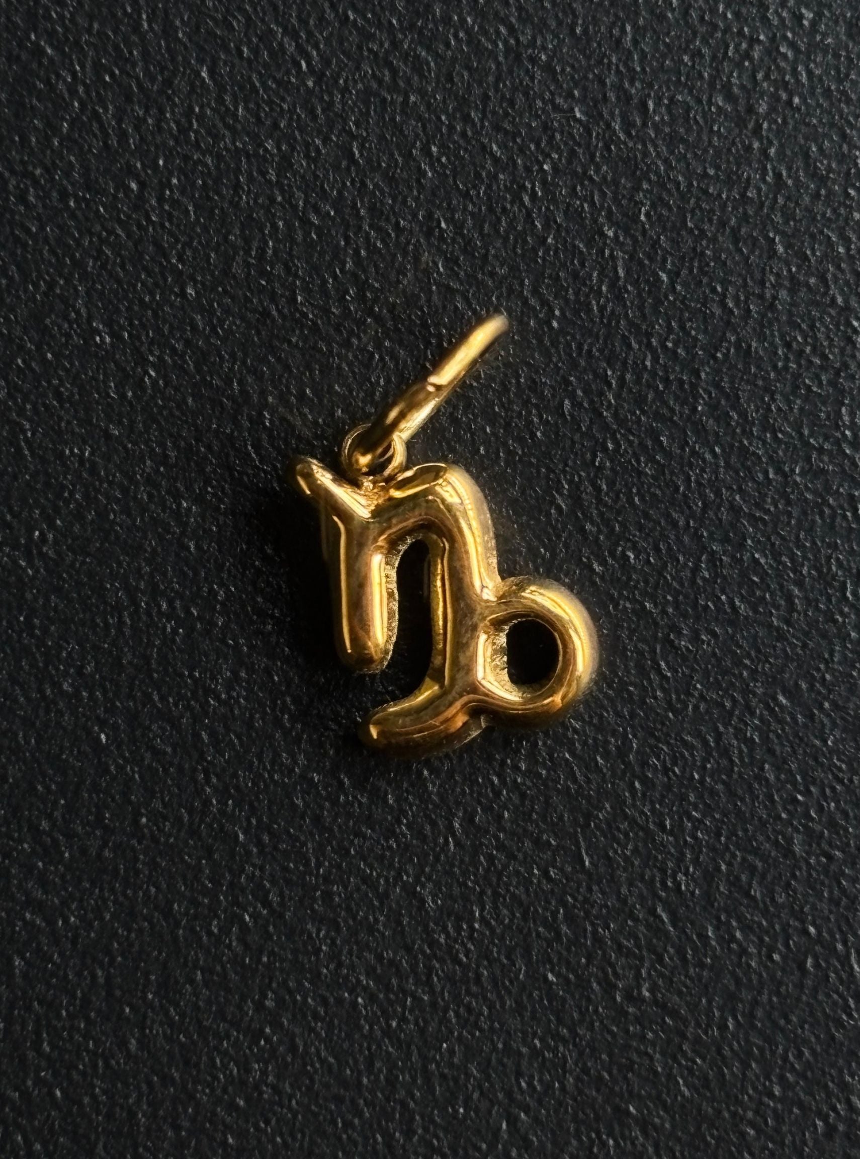 Capricorn